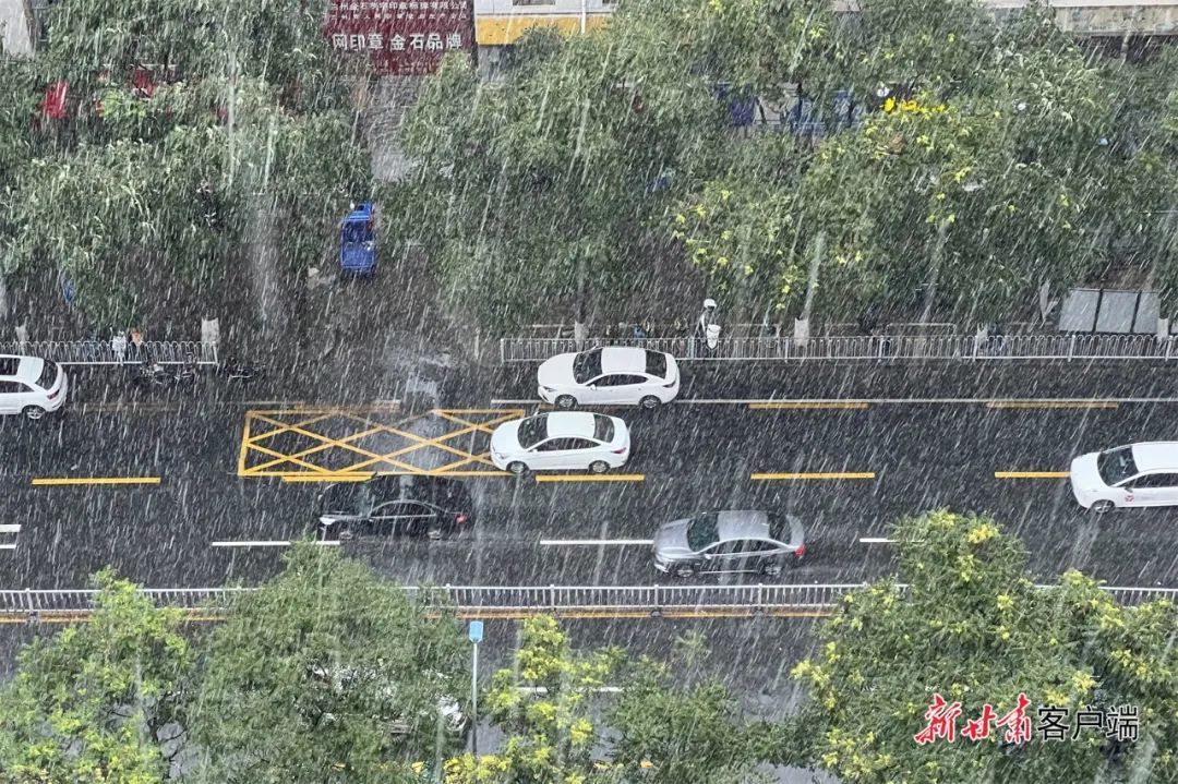第655页