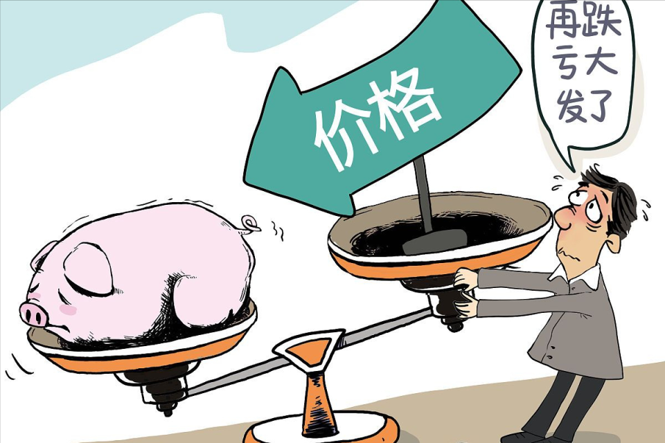 地方新闻 第156页