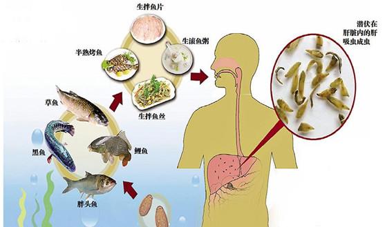 游戏专题 第57页
