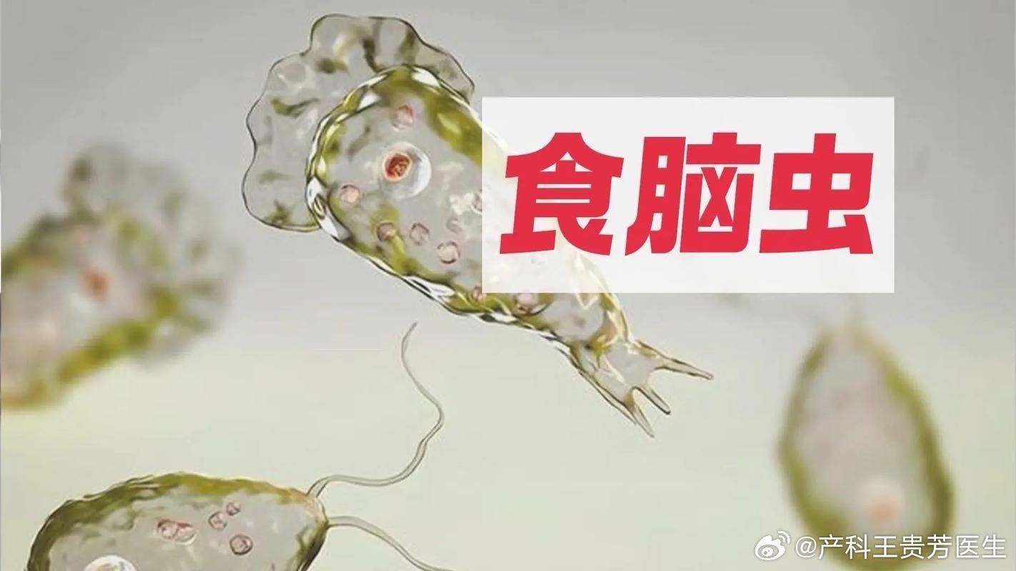 港澳新闻 第20页